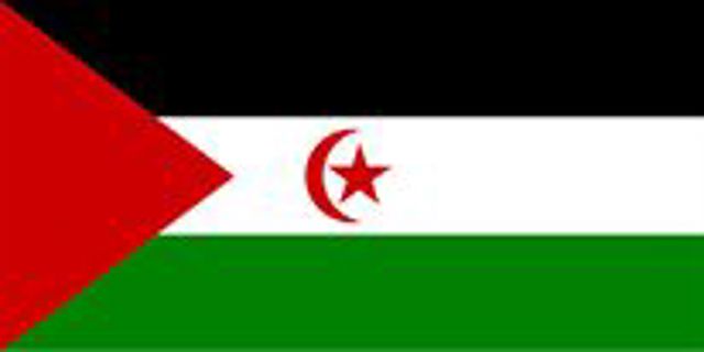 Flag Of Western Sahara 206