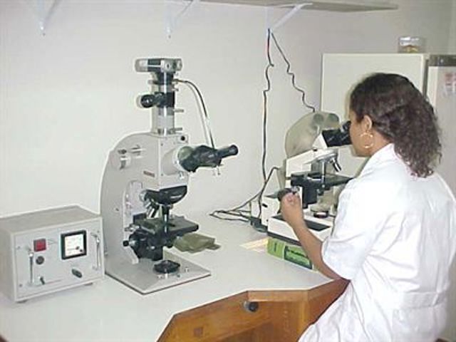 Lab Microscopio
