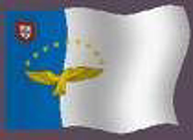 Images (8)