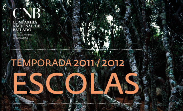 Newsletter Escolas 20112012