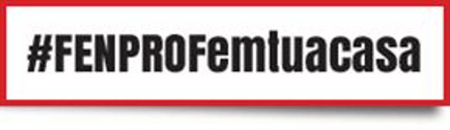 Bannerfenprofemtuacasa 290