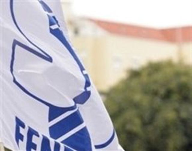 Bandeira Fenprof 290