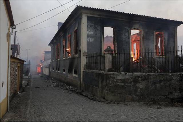 Fogos