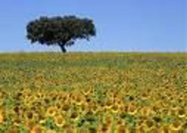 Alentejo