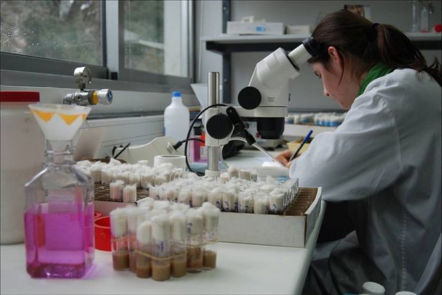Investigacaocientifica 20150915