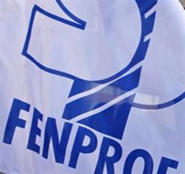 Fenprof 250