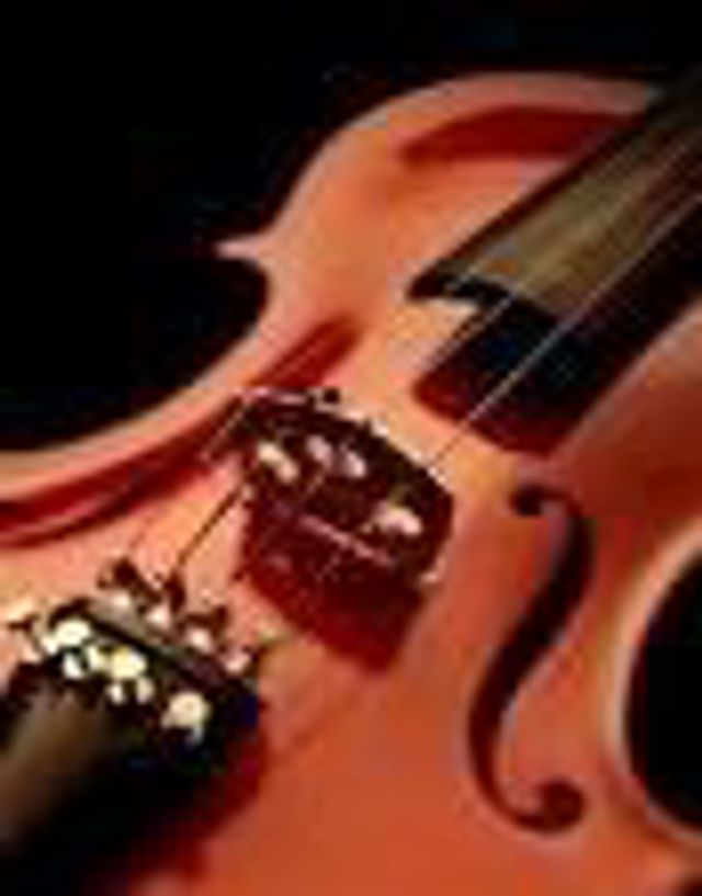 Violino