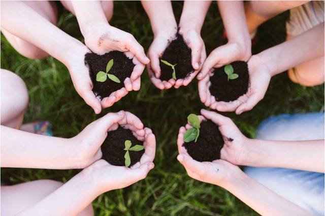 Educacao Ambiental