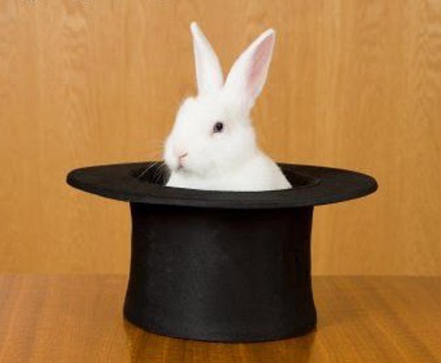 Conejo