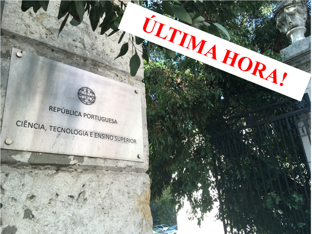 Mctes Ultimahora
