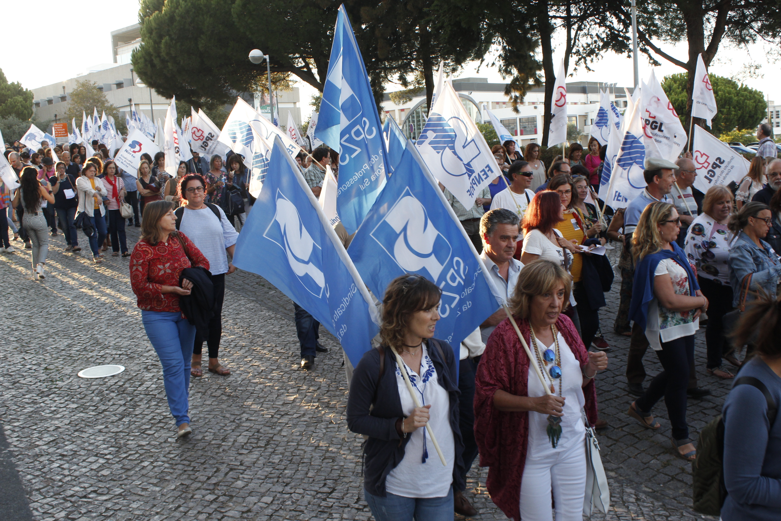 Clique para ampliar