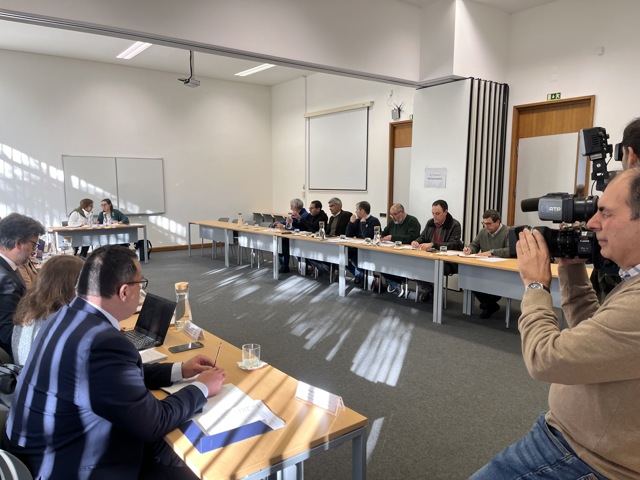 Ecd1 Caparide Tarde 5