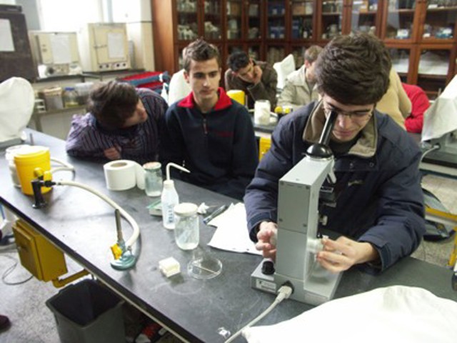 Alunos (2)