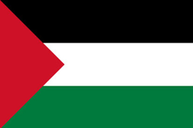 A Bandeira Palestina 400Px
