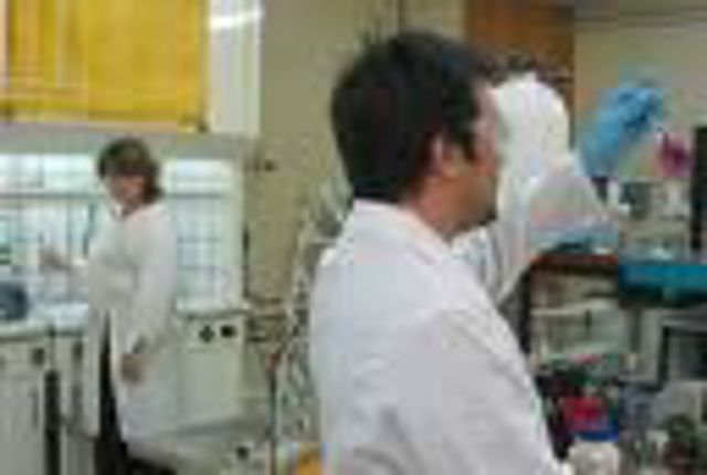 Investigadores
