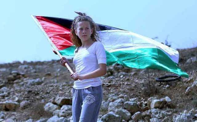 Ahed Web
