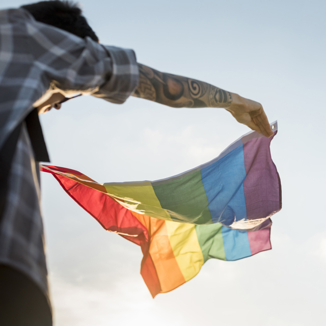 Bandeira Lgbt Flutuando No Vento