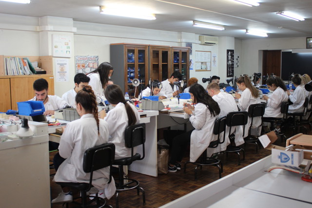 Imgensinoprofissional2