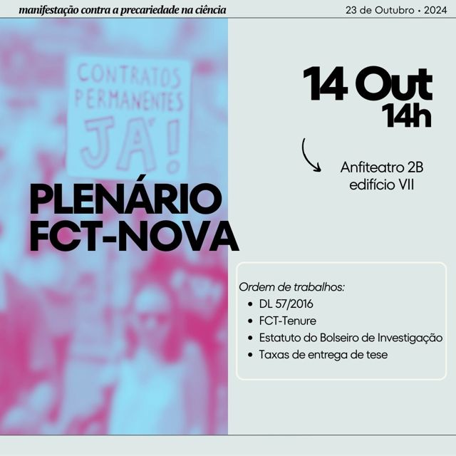 Post 3 Plenario Fctnova