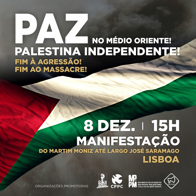 Manif Plstina 8Dez