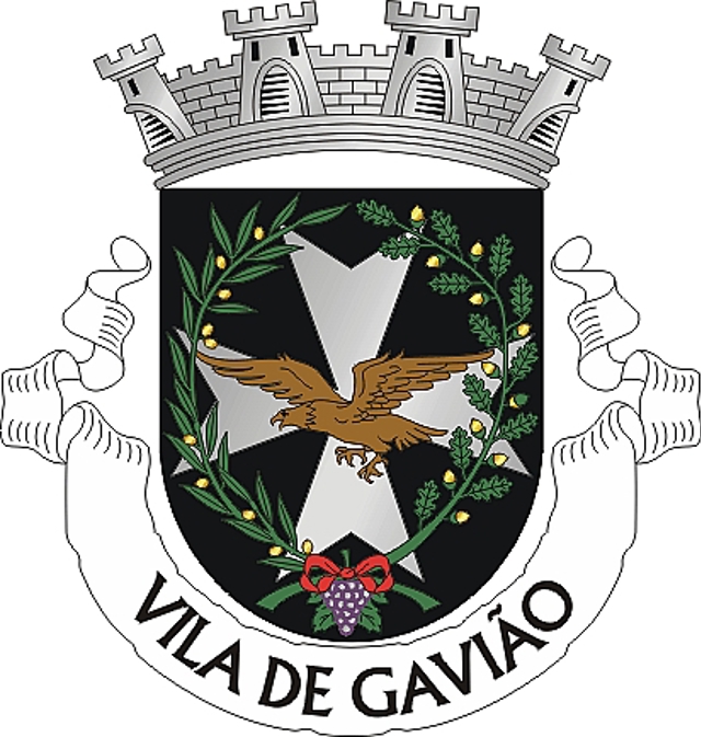 4596Gav